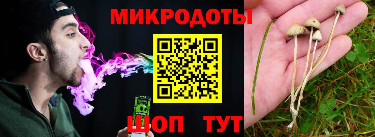 Галлюциногенные грибы Psilocybine cubensis  купить  сайты  Нижневартовск  Вход с VPN 